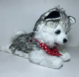 Собака-Лежака (Хаски)