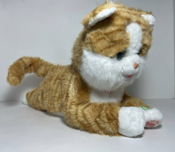 Кошка лежака (Бело-Оранжевая)